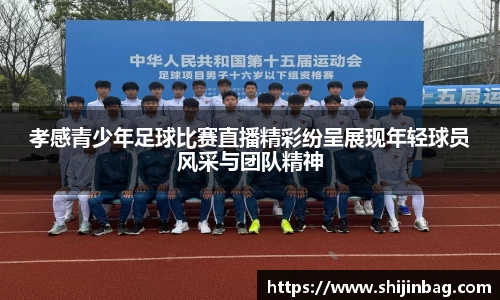 孝感青少年足球比赛直播精彩纷呈展现年轻球员风采与团队精神