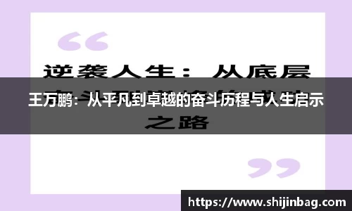 王万鹏：从平凡到卓越的奋斗历程与人生启示