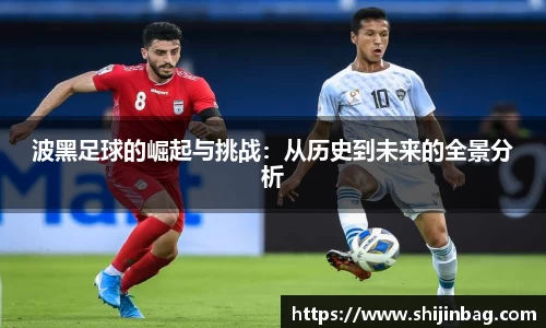 波黑足球的崛起与挑战：从历史到未来的全景分析