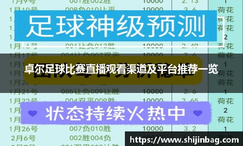 卓尔足球比赛直播观看渠道及平台推荐一览