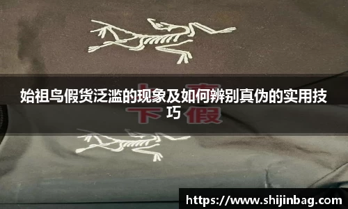始祖鸟假货泛滥的现象及如何辨别真伪的实用技巧